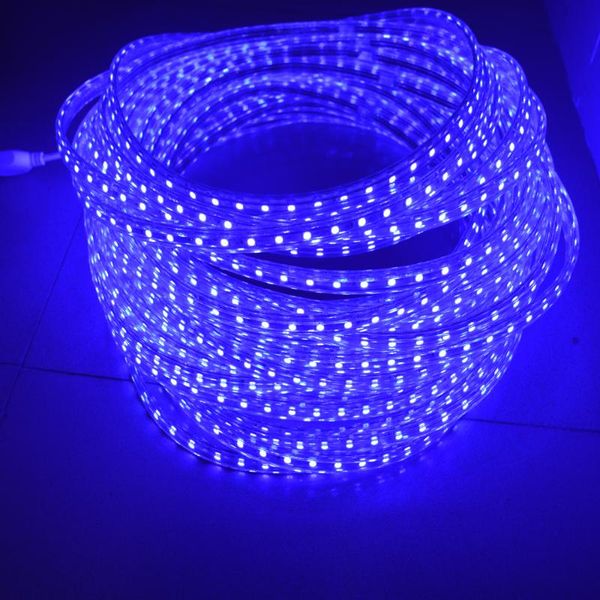 led strip light lamp ip65 waterproof 220v smd 156leds/m tape flexible tape+power plug for outdoor garden lighting strips
led strip light lamp ip65 waterproof 220v smd 156leds/m tape flexible tape+power plug for outdoor garden lighting strips