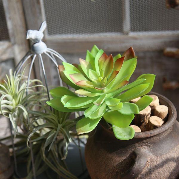 succulents plants green flocking home garden decoration flower arrangement bathroom accessories artificial plant decorative flowers & wreath
succulents plants green flocking home garden decoration flower arrangement bathroom accessories artificial plant decorative flowers & wreath