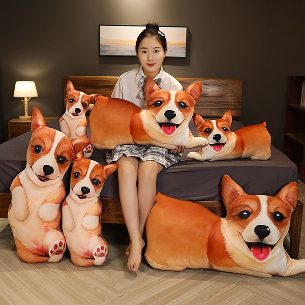 printing dog plush pillow both sides sitting lying sleeping cute simulated stuffed doggy animal pillow 50/65/85cm
printing dog plush pillow both sides sitting lying sleeping cute simulated stuffed doggy animal pillow 50/65/85cm