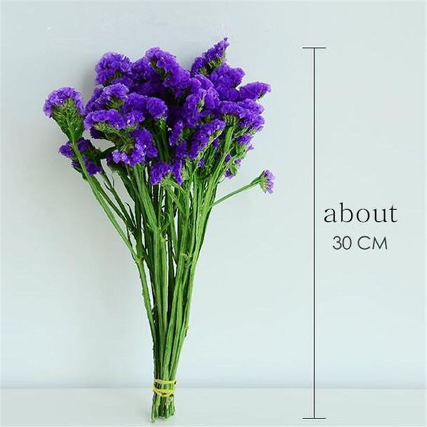 decorative flowers & wreaths about 30cm forget-me-nots 100% natural true dried wedding party decoration home garden decor
decorative flowers & wreaths about 30cm forget-me-nots 100% natural true dried wedding party decoration home garden decor