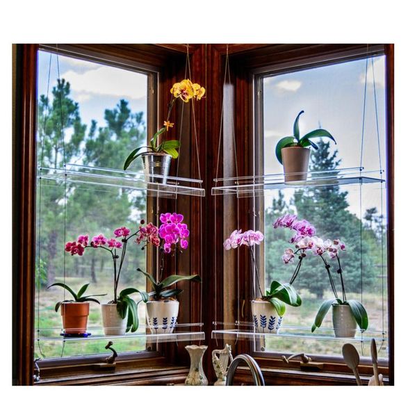 shelf for plants window bathroom or kitchen plant hanging shelves stand indoor garden decor #nn storage & organization
shelf for plants window bathroom or kitchen plant hanging shelves stand indoor garden decor #nn storage & organization