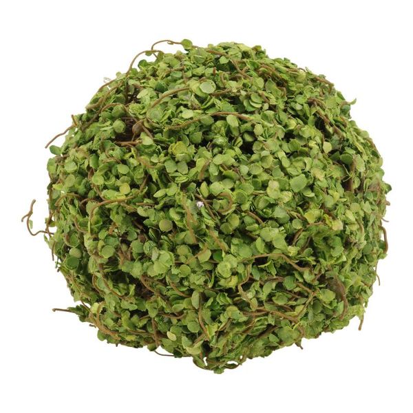 1pc simulation mossy green plant ball background wall hanging decoration (green) decorative flowers & wreaths
1pc simulation mossy green plant ball background wall hanging decoration (green) decorative flowers & wreaths