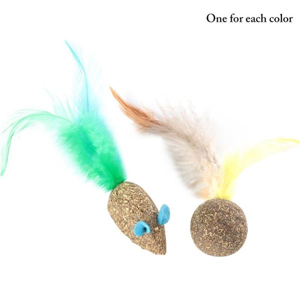cat toys 2pcs catnip toy cute fake feather mouse funny interactive pet molar dorakitten
cat toys 2pcs catnip toy cute fake feather mouse funny interactive pet molar dorakitten