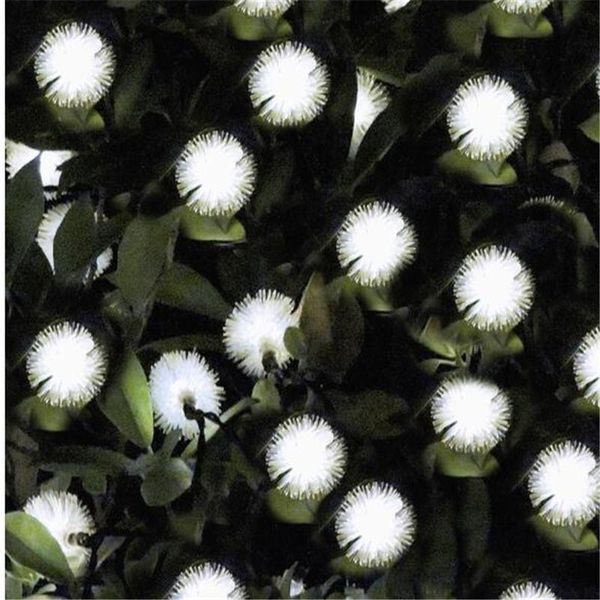 solar lamps 20 led light lamp power ball string waterproof fairy lights garlands garden christmas outdoor decor
solar lamps 20 led light lamp power ball string waterproof fairy lights garlands garden christmas outdoor decor