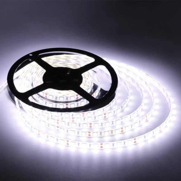 strips smd 2835 flexible lighting led strip light ribbon tape 5m dc 12v rgbw/white/ /warm white/red indoor decoration no adapter
strips smd 2835 flexible lighting led strip light ribbon tape 5m dc 12v rgbw/white/ /warm white/red indoor decoration no adapter