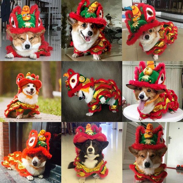 dog apparel pet makeover funny clothes dragon dance festival red lucky chinese style year cosplay costume
dog apparel pet makeover funny clothes dragon dance festival red lucky chinese style year cosplay costume