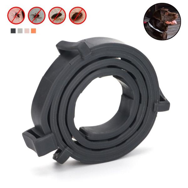 small big dog cat collar anti flea tick mosquitoes 8 months long-term protection adjustable pet accessories collars & leashes
small big dog cat collar anti flea tick mosquitoes 8 months long-term protection adjustable pet accessories collars & leashes