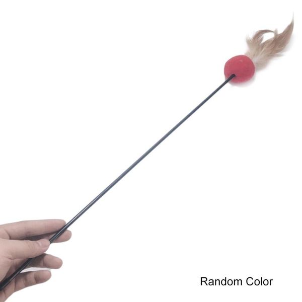 cat wand toy funny pom ball fake feather kitten teaser stick interactive pet training random color toys
cat wand toy funny pom ball fake feather kitten teaser stick interactive pet training random color toys