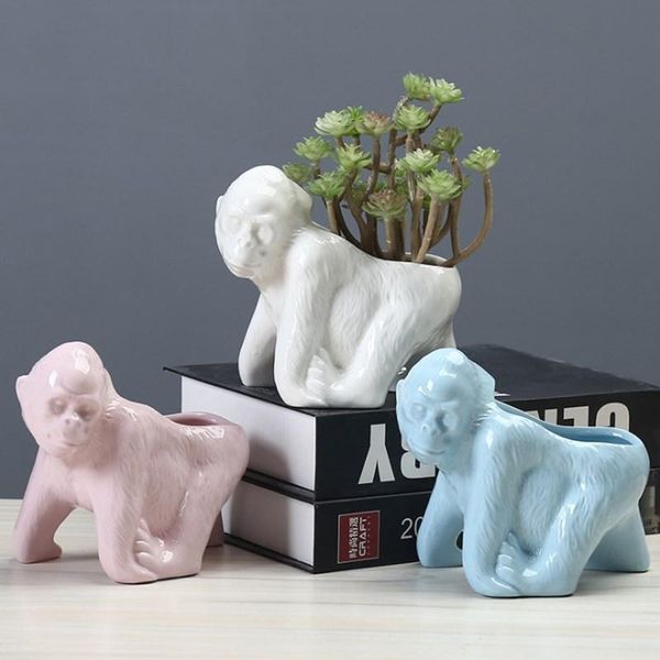 ceramic plant pot succulent flowerpot cartoon animal fleshy orangutan shaped flower for home gradening planters & pots
ceramic plant pot succulent flowerpot cartoon animal fleshy orangutan shaped flower for home gradening planters & pots