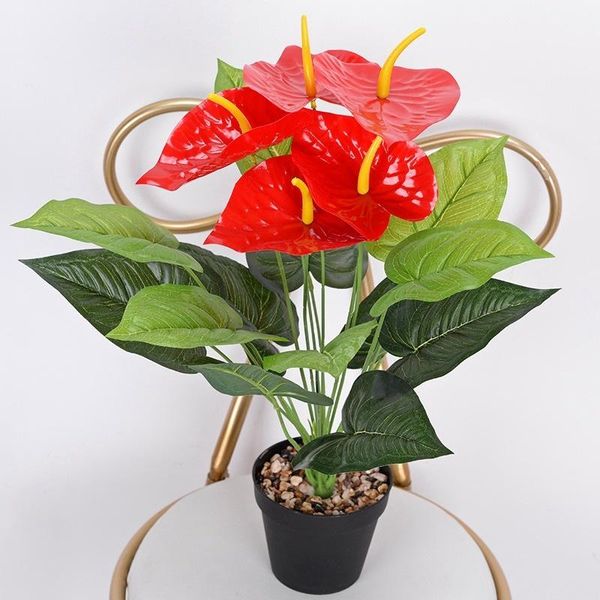 decorative flowers & wreaths simulation green plants, single plant, 53cm, green, 18 flowers, big anthurium, home decoration, el flower arran
decorative flowers & wreaths simulation green plants, single plant, 53cm, green, 18 flowers, big anthurium, home decoration, el flower arran