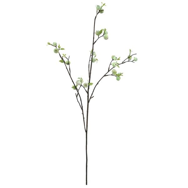 decorative flowers & wreaths fake flower branch faux plant fruit wedding decor cloth nordic artificial home apple
decorative flowers & wreaths fake flower branch faux plant fruit wedding decor cloth nordic artificial home apple