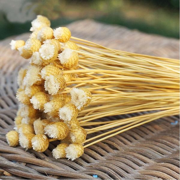 decorative flowers & wreaths 50pcs/lot natural art dried fake flower arrangement party diy artificial for home garden decoration valentine&#
decorative flowers & wreaths 50pcs/lot natural art dried fake flower arrangement party diy artificial for home garden decoration valentine&#