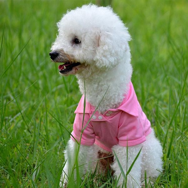 dog apparel solid tshirt small clothing summer cute dog-clothes-for-yorkies pets funny chihuahua clothes t-shirt for dogs
dog apparel solid tshirt small clothing summer cute dog-clothes-for-yorkies pets funny chihuahua clothes t-shirt for dogs