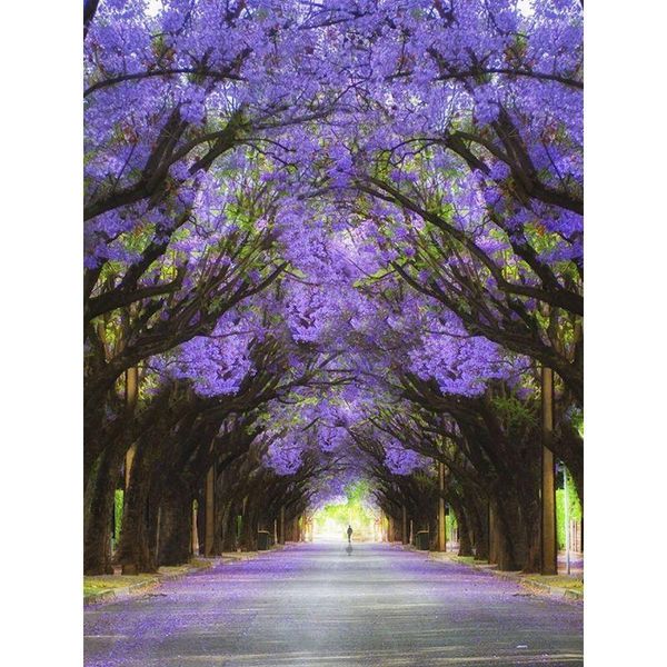paintings ruopoty framed diy painting by numbers landscape picture on canvas coloring for adults kids home decor acrylic paints
paintings ruopoty framed diy painting by numbers landscape picture on canvas coloring for adults kids home decor acrylic paints