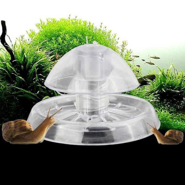 decorations clear snail trap aquarium fish tank plants planarian leech catch environment for
decorations clear snail trap aquarium fish tank plants planarian leech catch environment for