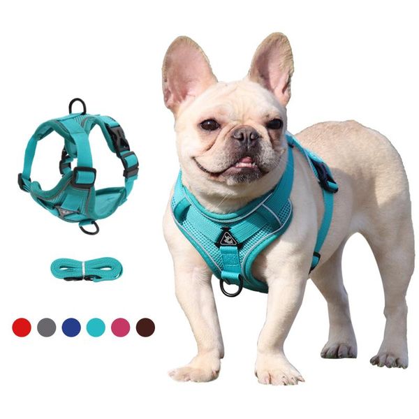 dog collars & leashes reflective pets travel safely at night, easy to wear, breathable and comfortable harness
dog collars & leashes reflective pets travel safely at night, easy to wear, breathable and comfortable harness