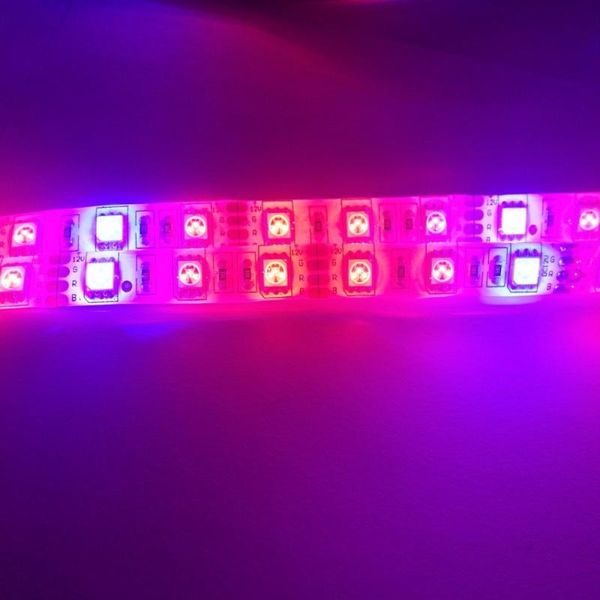 5m/lot led grow lights dc12v growing strip tape plant growth fite light lamp for greenhouse hydroponic vegetables strips
5m/lot led grow lights dc12v growing strip tape plant growth fite light lamp for greenhouse hydroponic vegetables strips