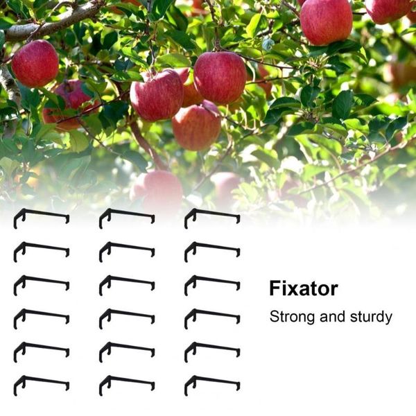 planters & pots easy to install solid color wide application adjustable fruit branch spreader for gifts
planters & pots easy to install solid color wide application adjustable fruit branch spreader for gifts