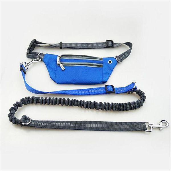 dog collars & leashes multi-role sports running pocket showerproof leads sets reflective leash strong hands retractable traction rope f
dog collars & leashes multi-role sports running pocket showerproof leads sets reflective leash strong hands retractable traction rope f