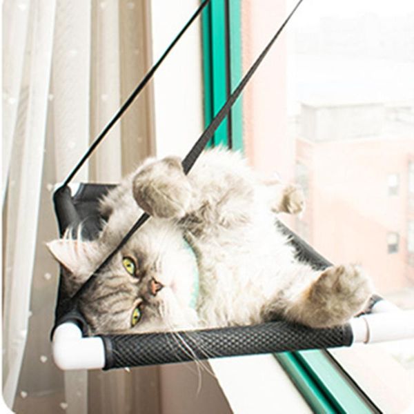 cute cat house bed hammock pet shelves sunny window seat mounted comfortable accessories supplies beds & furniture
cute cat house bed hammock pet shelves sunny window seat mounted comfortable accessories supplies beds & furniture