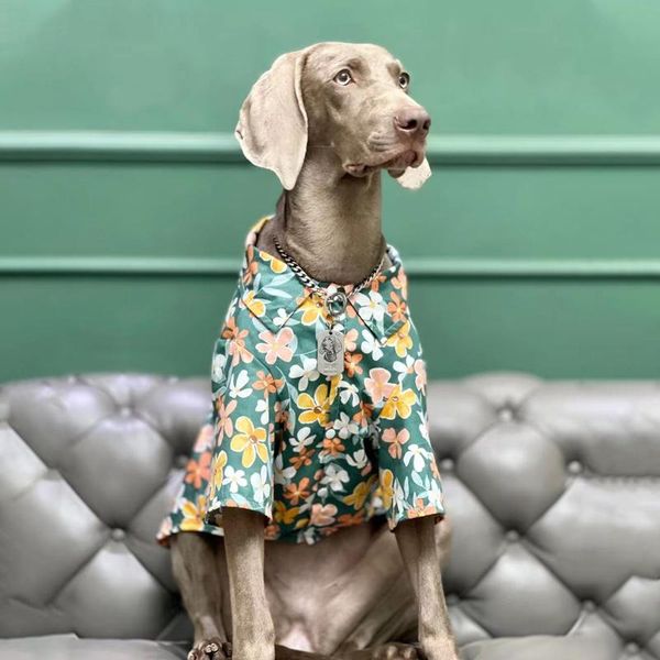 dog apparel large clothes summer thin breathable shirt golden retriever labrador doberman shiba inu accessories
dog apparel large clothes summer thin breathable shirt golden retriever labrador doberman shiba inu accessories
