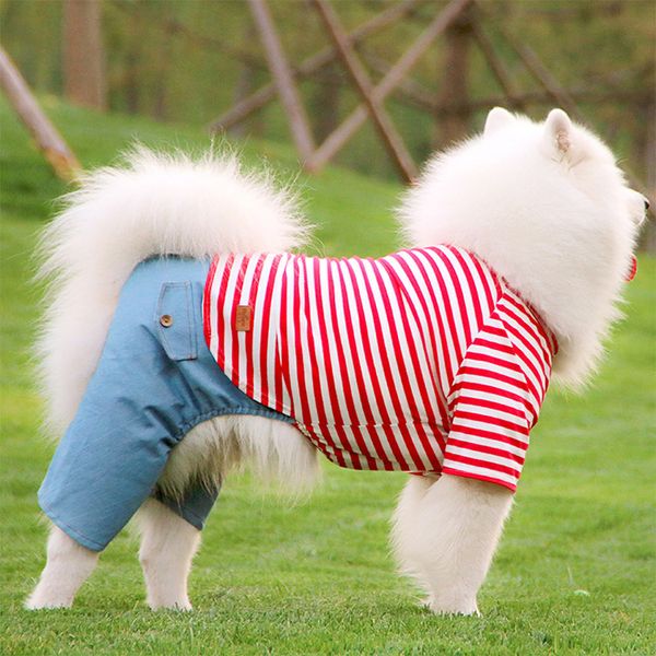 dog cloth medium and large dog samoye golden hair husky labrador summer pet striped four legged
dog cloth medium and large dog samoye golden hair husky labrador summer pet striped four legged