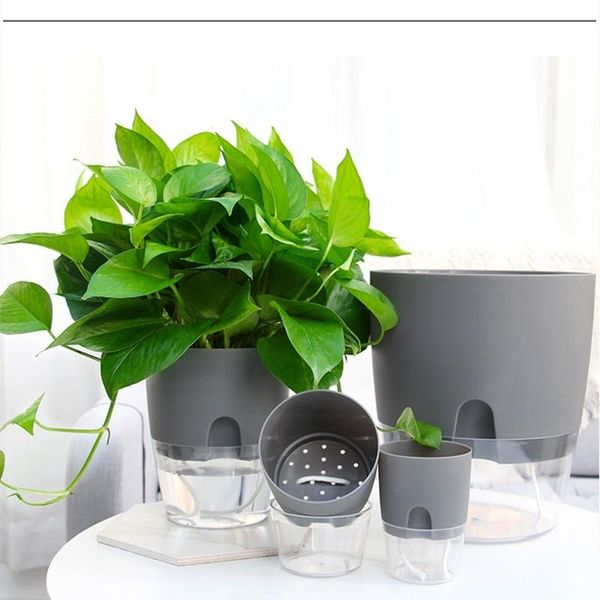 planters & pots lazy self-watering flowerpot automatic water absorption succulent aquaculture transparent round plastic hydroponic
planters & pots lazy self-watering flowerpot automatic water absorption succulent aquaculture transparent round plastic hydroponic