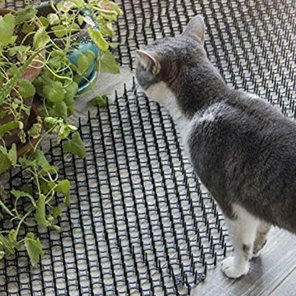 cat beds & furniture anti-cat dog garden prickle strip portable plastic spike keep cats repellent deterrent mat pet supplies 13cmx49cm
cat beds & furniture anti-cat dog garden prickle strip portable plastic spike keep cats repellent deterrent mat pet supplies 13cmx49cm
