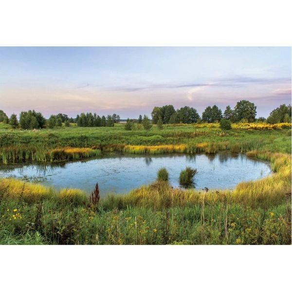 party decoration landscape backdrop lake on the prairie scenery pography background holiday celebration po booth studio decor
party decoration landscape backdrop lake on the prairie scenery pography background holiday celebration po booth studio decor