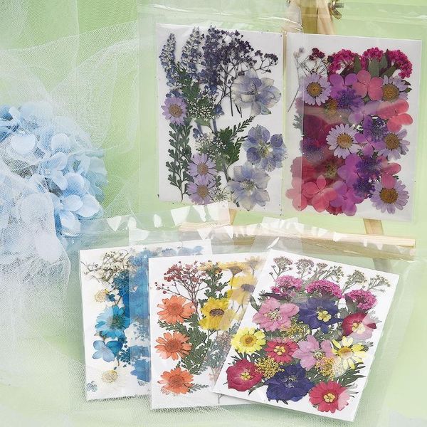 decorative flowers & wreaths diy real dried flower dry plants for candle epoxy resin pendant necklace jewelry making craft acce
decorative flowers & wreaths diy real dried flower dry plants for candle epoxy resin pendant necklace jewelry making craft acce