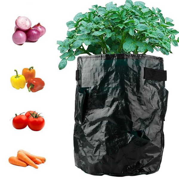 planters & pots 10 gallon gardening strawberry planting bags breathable cloth pouch potsplant container with handles pockets
planters & pots 10 gallon gardening strawberry planting bags breathable cloth pouch potsplant container with handles pockets