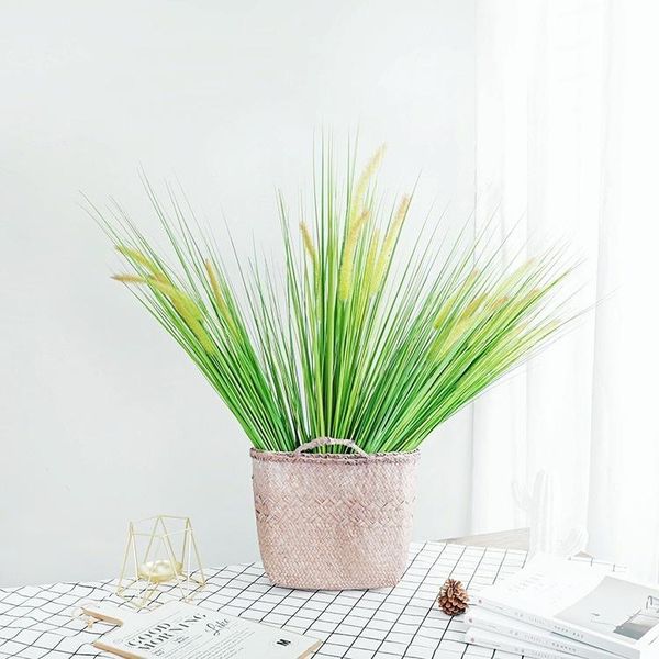 decorative flowers & wreaths a high-quality bunch of 85cm long 5 heads, setaria, suitable for home decoration, garden simulation green plant
decorative flowers & wreaths a high-quality bunch of 85cm long 5 heads, setaria, suitable for home decoration, garden simulation green plant