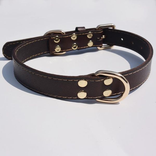 genuine leatherl pet dog collar for medium large dogs neck strap adjustable collars brown color 40-56cm & leashes
genuine leatherl pet dog collar for medium large dogs neck strap adjustable collars brown color 40-56cm & leashes