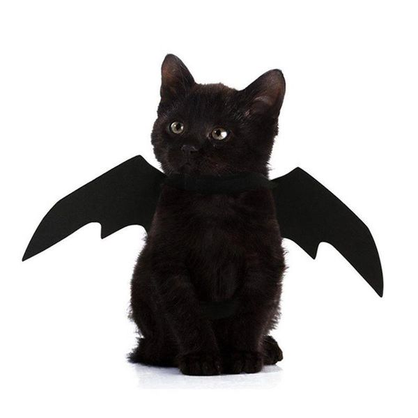 cat costumes halloween party pet dog bat wings vampire black cute fancy dress up costume
cat costumes halloween party pet dog bat wings vampire black cute fancy dress up costume