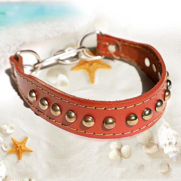 dog collars & leashes rivet cortex collar small and medium-sized leash comfortable trend accessories
dog collars & leashes rivet cortex collar small and medium-sized leash comfortable trend accessories
