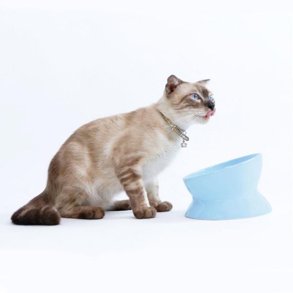 cat bowls & feeders pet feeding water bowl ceramic non-slip with protection cervical a diagonal mouth
cat bowls & feeders pet feeding water bowl ceramic non-slip with protection cervical a diagonal mouth