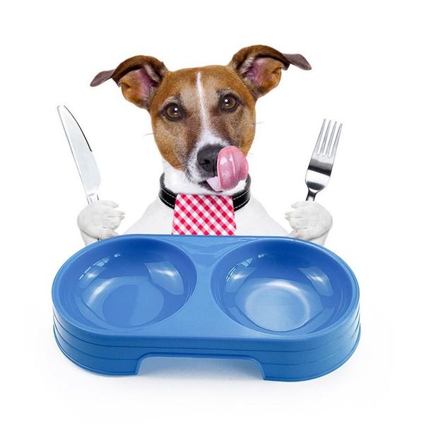 dog bowls & feeders candy color feeder container pet water feeding dish double plastic universal durable pandada 200g
dog bowls & feeders candy color feeder container pet water feeding dish double plastic universal durable pandada 200g