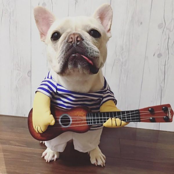 dog apparel creative pet dogs christmas clothes special events costume funny party cosplay outfit clothing decor supplies
dog apparel creative pet dogs christmas clothes special events costume funny party cosplay outfit clothing decor supplies