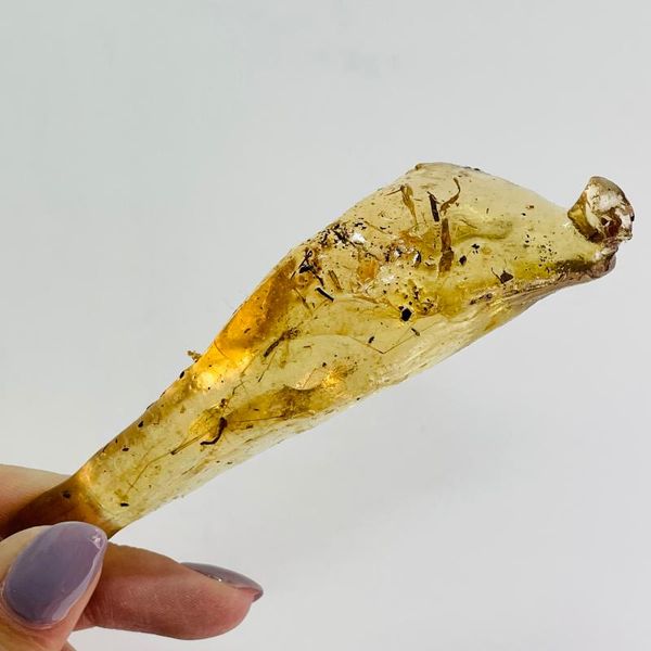 natural amber beeswax stone insect specimens teaching material collection gift decorative objects & figurines
natural amber beeswax stone insect specimens teaching material collection gift decorative objects & figurines