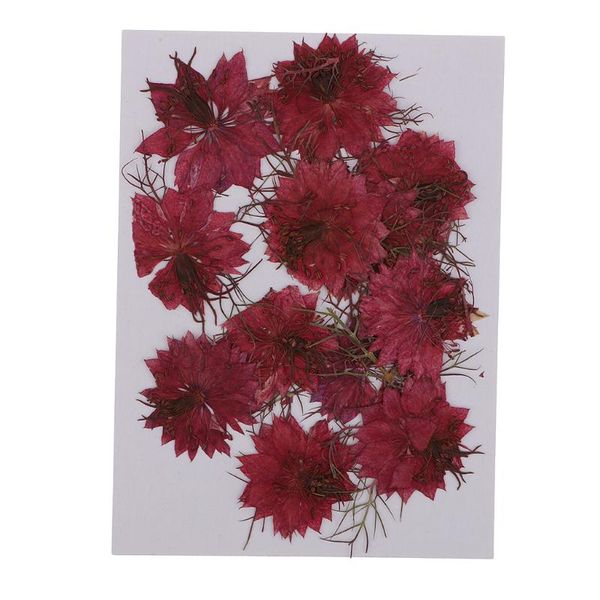 decorative flowers & wreaths 12 piece natural red blue love-in-a-mist pressed dried for art craft
decorative flowers & wreaths 12 piece natural red blue love-in-a-mist pressed dried for art craft