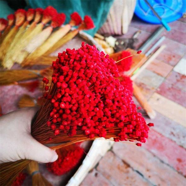 decorative flowers & wreaths 100pcs 40-50cm red color 100% natural true dried happy flower party decoration home garden decor
decorative flowers & wreaths 100pcs 40-50cm red color 100% natural true dried happy flower party decoration home garden decor