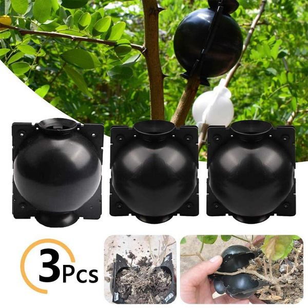 planters & pots 3pcs/set plant rooting ball grafting growing box breeding case for garden high-pressure propagation sapling
planters & pots 3pcs/set plant rooting ball grafting growing box breeding case for garden high-pressure propagation sapling