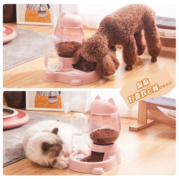 cat bowl dog for cats feeder bowls kitten automatic drinking fountain 1.5l capacity puppy feeding waterer products & feeders
cat bowl dog for cats feeder bowls kitten automatic drinking fountain 1.5l capacity puppy feeding waterer products & feeders