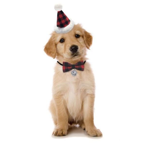 dog apparel 2pcs/set winter pet accessories for cat dogs hats scarf yorkshire festival celebration costume christmas year ornaments
dog apparel 2pcs/set winter pet accessories for cat dogs hats scarf yorkshire festival celebration costume christmas year ornaments