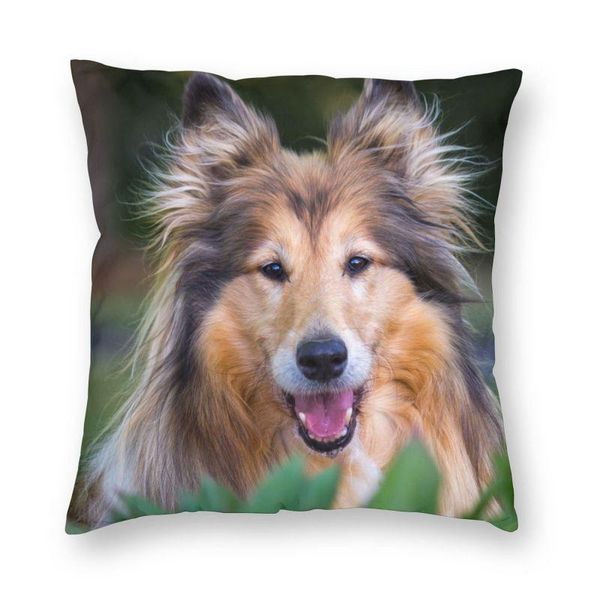 cushion/decorative pillow custom cool collie dog surprise case decoration 3d two side printing puppy pet cushion cover for car
cushion/decorative pillow custom cool collie dog surprise case decoration 3d two side printing puppy pet cushion cover for car