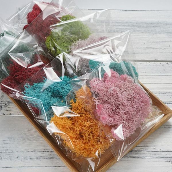 decorative flowers & wreaths 5g eternal moss natural plants dried diy birthday gift box wreath handicrafts accessorie in glass flask decor
decorative flowers & wreaths 5g eternal moss natural plants dried diy birthday gift box wreath handicrafts accessorie in glass flask decor
