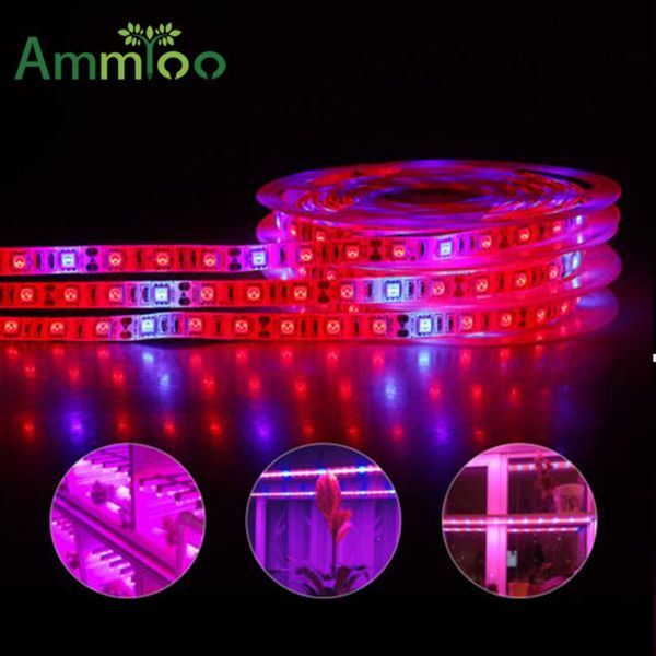 full spectrum led grow light red+blue indoor garden hydroponic strip waterproof fitolampy growing for plants lights
full spectrum led grow light red+blue indoor garden hydroponic strip waterproof fitolampy growing for plants lights