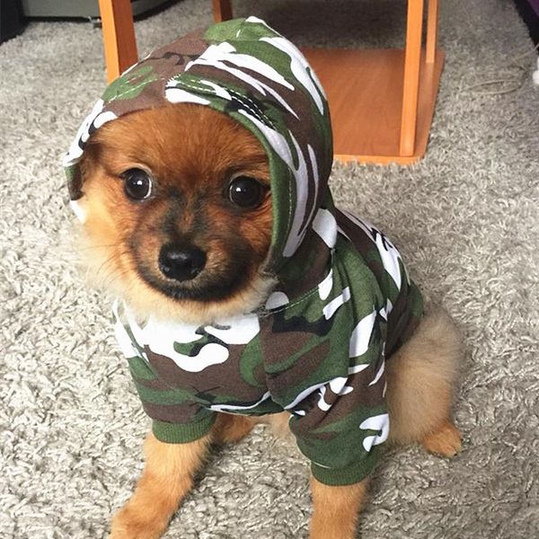 dog apparel camouflage clothes summer pets clothing for small dogs shirts puppy outfit french bulldogs cool pet coat 4s1
dog apparel camouflage clothes summer pets clothing for small dogs shirts puppy outfit french bulldogs cool pet coat 4s1