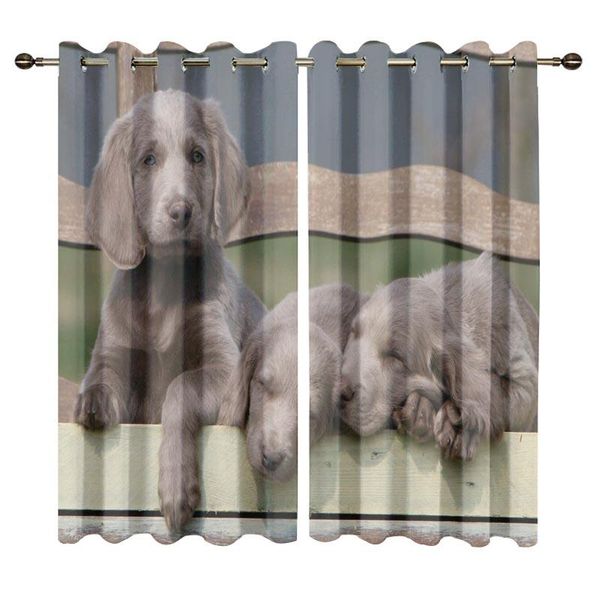 curtain & drapes personalized modern style window for kids bedroom 3d weimaraner printed living room curtains rideaux
curtain & drapes personalized modern style window for kids bedroom 3d weimaraner printed living room curtains rideaux