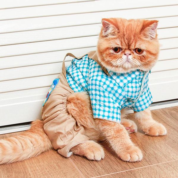 cat costumes winter warm pet jumpsuit sweet puppy clothes costume for cats kedi katten clothing animaux de compagnie cropa para gato
cat costumes winter warm pet jumpsuit sweet puppy clothes costume for cats kedi katten clothing animaux de compagnie cropa para gato